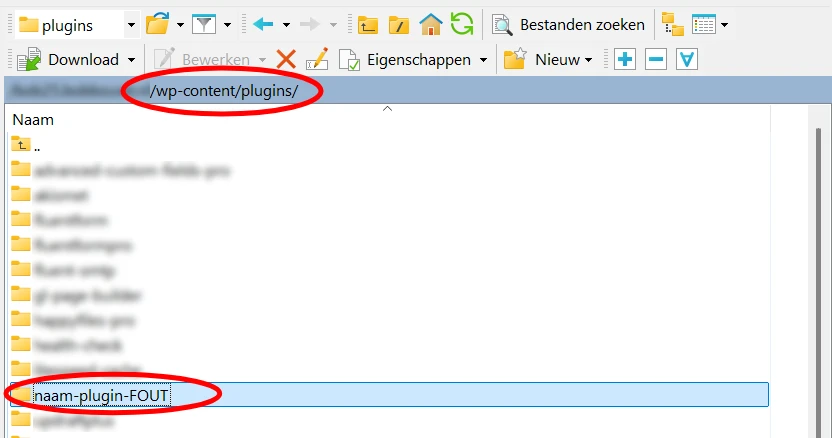 Plugins hernoemen via FTP