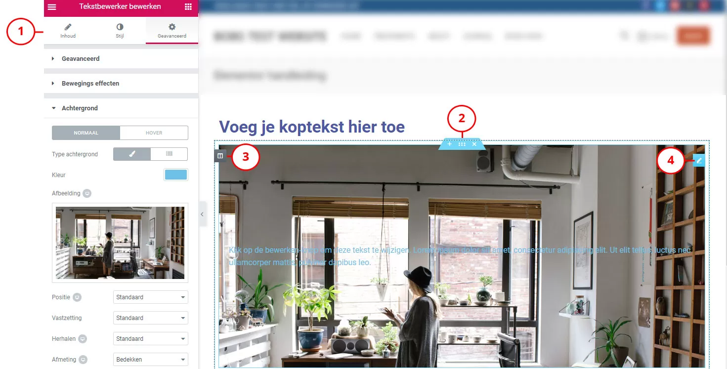 Elementor instellingen