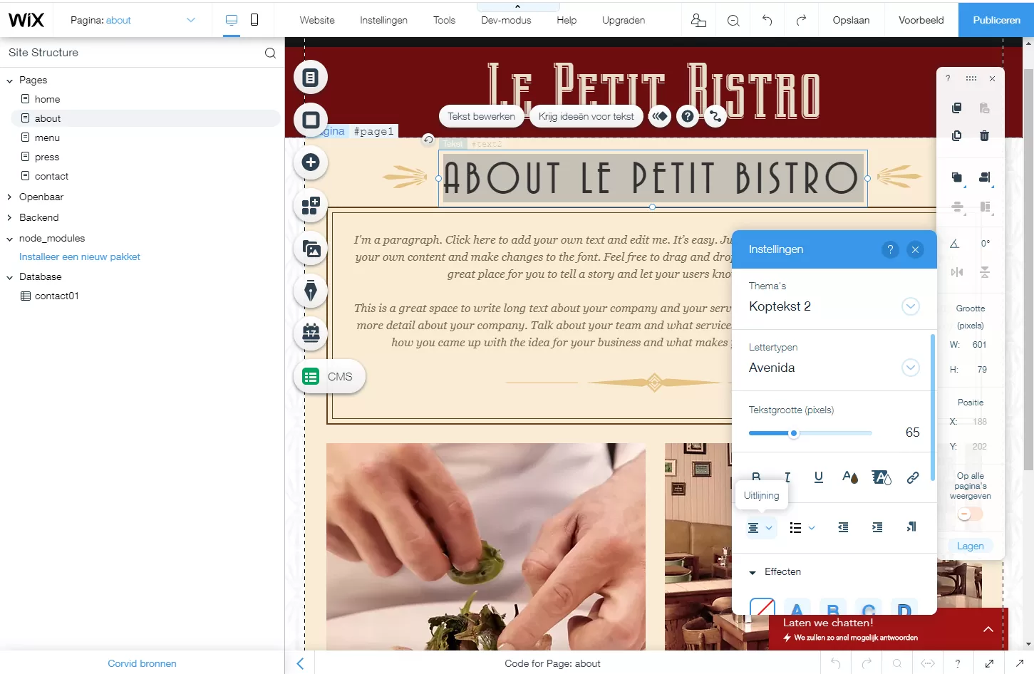 Wix editor