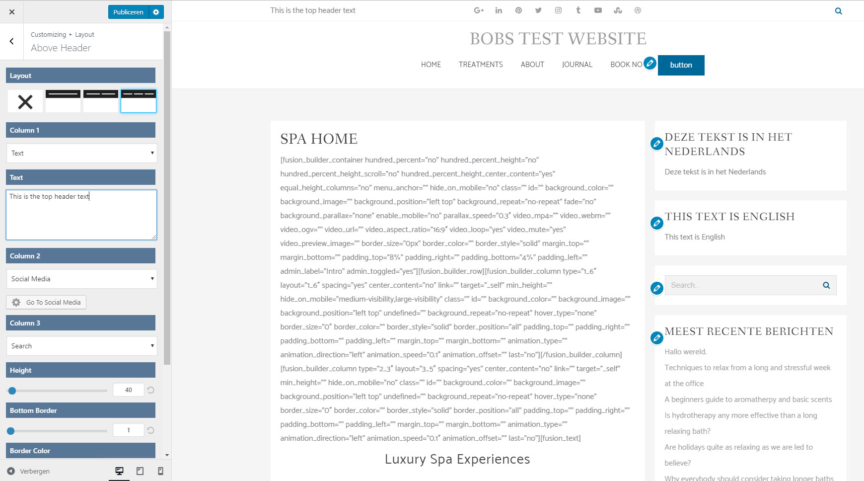 Zita theme customizer